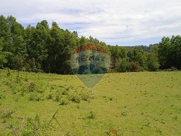 Parcelas en Villarrica