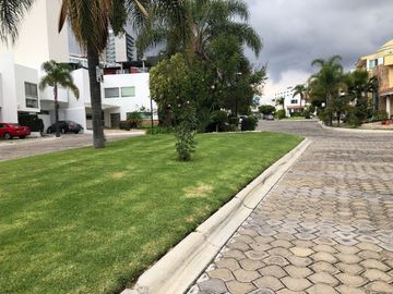 Casa en renta en Lomas de Angelòpolis I