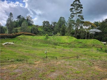 Lote en Venta en Alto de las Palmas