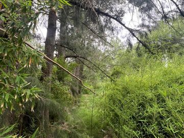 VENTA LOTE TERRENO 1.000 M² EN JUAN RACINE TIGRE
