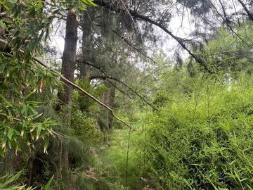 VENTA LOTE TERRENO 1.000 M² EN JUAN RACINE TIGRE