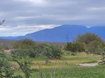 Campo 8650Has Sobre Ruta 40 Talacasto Ullum