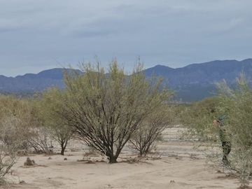 Campo 8650Has Sobre Ruta 40 Talacasto Ullum