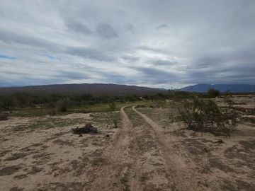 Campo 8650Has Sobre Ruta 40 Talacasto Ullum