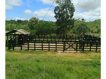 FINCA EN VENTA VA PUBLO NUEVO, NECOCLI