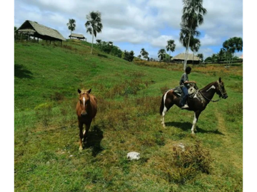 FINCA EN VENTA VA PUBLO NUEVO, NECOCLI