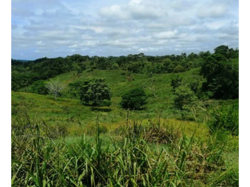 FINCA EN VENTA VA PUBLO NUEVO, NECOCLI