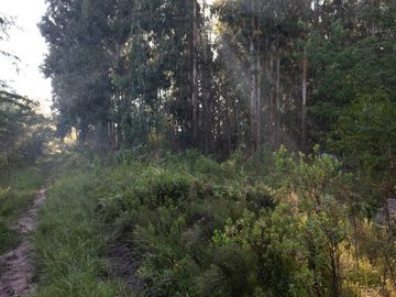 Campo en venta, Pilar