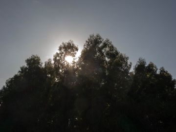 Campo en venta, Pilar