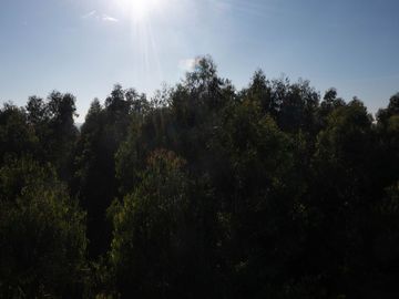 Campo en venta, Pilar
