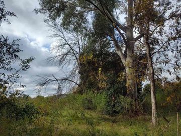 Campo en venta, Pilar