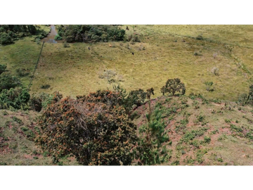 Venta de lote en El Carmen de Viboral cerca de Llanogrande 21000m2