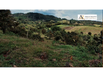 Venta lote El Carmen de Viboral ideal proyecto de bienestar 30000m2