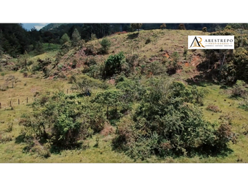 Venta lote El Carmen de Viboral ideal proyecto de bienestar 30000m2