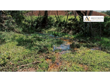 Venta lote El Carmen de Viboral ideal proyecto de bienestar 30000m2