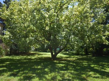 LOTE EN VENTA 1600 M2 B° ROCIOS DEL PILAR