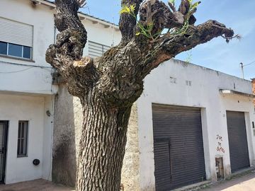 VENTA - CASA 6 AMB + LOCAL. APTA CREDITO. MORENO