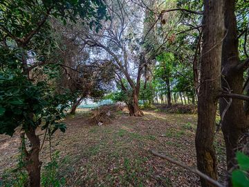 Lote en Venta en Altos de Mendoza Fisherton