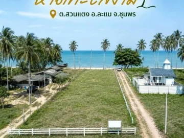 Land for sale in Suan Taeng, Chumphon