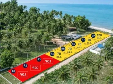Land for sale in Suan Taeng, Chumphon