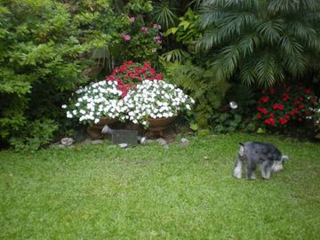 Dpto 3 Ambientes con Jardín