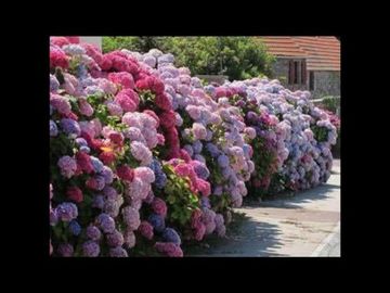 Dpto 3 Ambientes con  Jardín