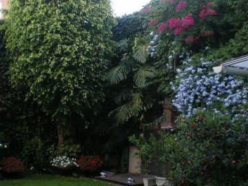 Dpto 3 Ambientes con  Jardín