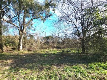 VENTA LOTE BENAVIDEZ 6500 M2 ZONA RM2