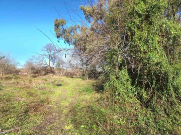 VENTA LOTE BENAVIDEZ 6500 M2 ZONA RM2