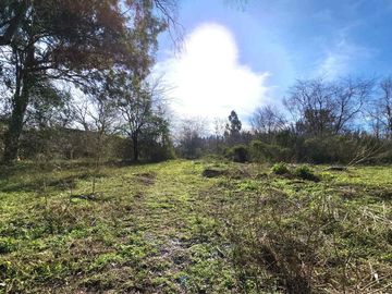 VENTA LOTE BENAVIDEZ 6500 M2 ZONA RM2