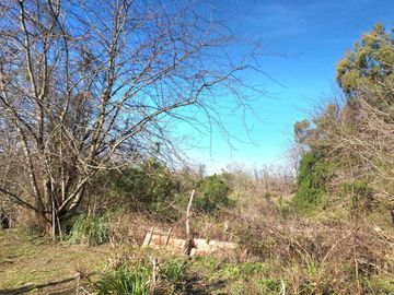 VENTA LOTE BENAVIDEZ 6500 M2 ZONA RM2