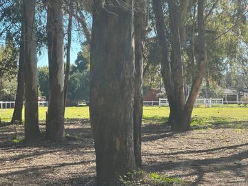 CASA CHACRA 4 AMB VENTA BARRIO EL ADUAR ZARATE