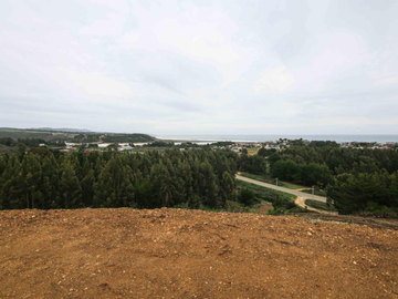 VENTA TERRENO - SITIO 5000MTS Pichilemu