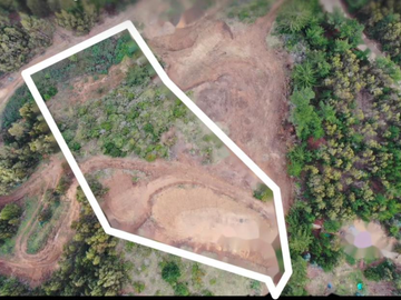 VENTA TERRENO - SITIO 5000MTS Pichilemu