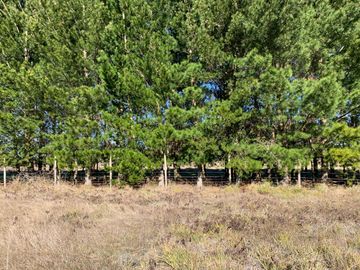 HERMOSA PARCELA CERCANA A VILLARRICA Y AL RÍO TOTÉN