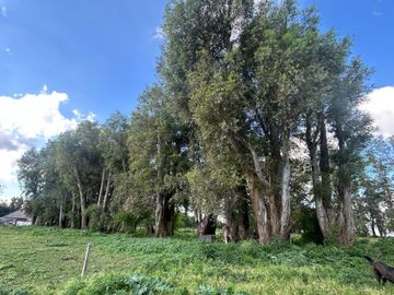Venta Campo 1/2Ha, Partido de Luján