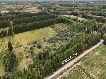 VENTA CHACRA 2,5HAS, CALLE 20 CENTENARIO - NEUQUÉN