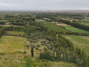 VENTA CHACRA 2,5HAS, CALLE 20 CENTENARIO - NEUQUÉN