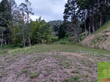Vendo Lote en Guarne