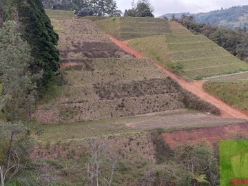 Vendo Lote en Guarne
