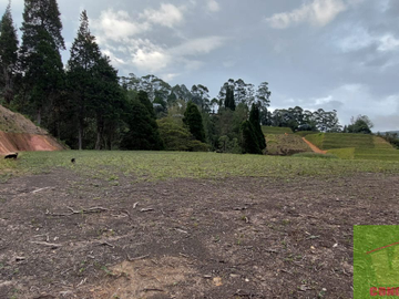 Vendo Lote en Guarne