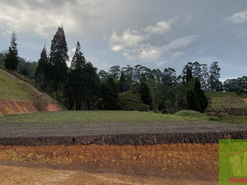 Vendo Lote en Guarne