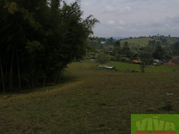 Vendo Lote en Carmen de viboral