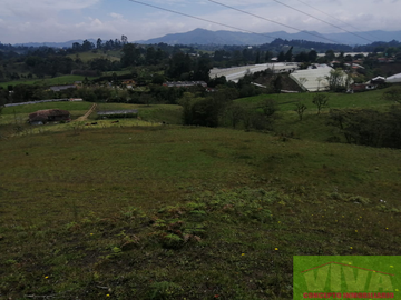 Vendo Lote en Carmen de viboral