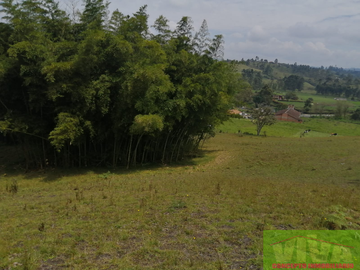 Vendo Lote en Carmen de viboral