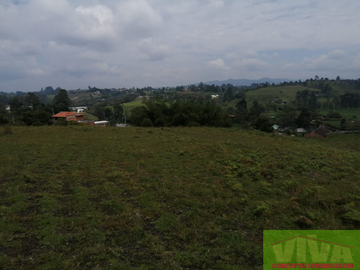 Vendo Lote en Carmen de viboral