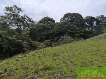Vendo Lote en Carmen de viboral