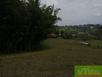 Vendo Lote en Carmen de viboral
