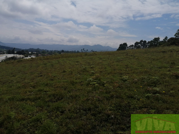 Vendo Lote en Carmen de viboral