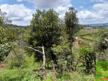 Vendo Lote en Marinilla